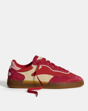 Hoff-Alley-Trainers